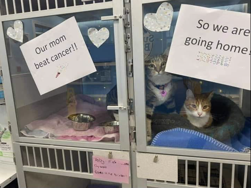 Our mom beat cancer!! POPLAN ERINARY Toby Loves le t So we are going home.