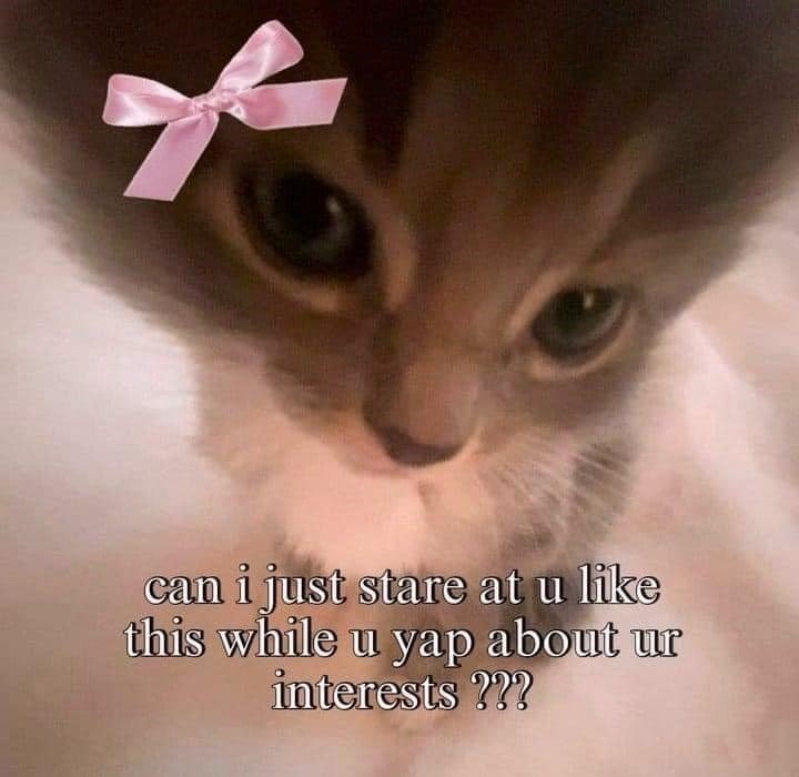 can i just stare at u like this while u yap about ur interests ???