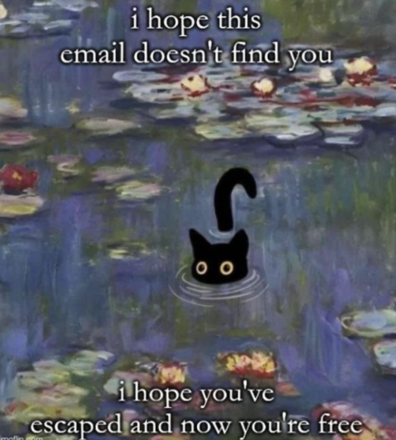 i hope this email doesn't find you C 00 i hope you've escaped and now you're free