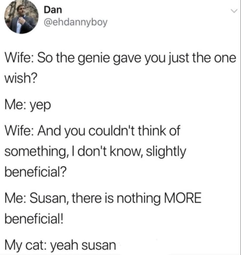 Dan @ehdannyboy Wife: So the genie gave you just the one wish? Me: yep Wife: And you couldn't think of something, I don't know, slightly beneficial? Me: Susan, there is nothing MORE beneficial! My cat: yeah susan