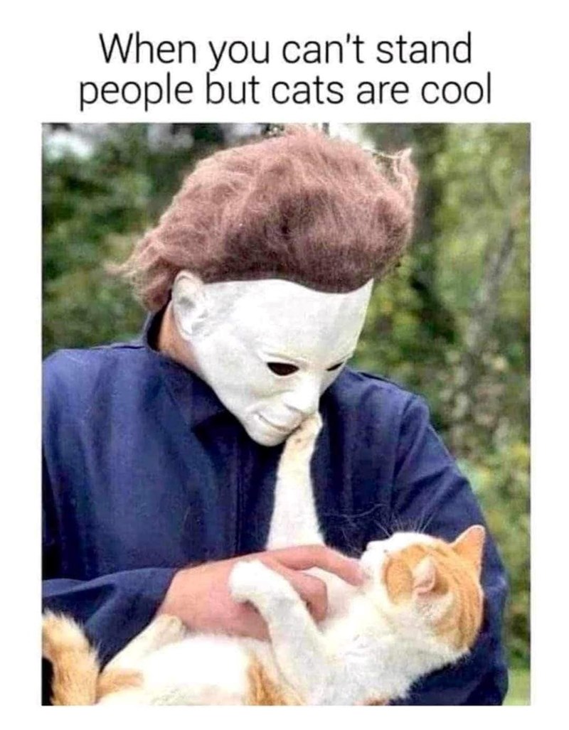 When you can't stand people but cats are cool