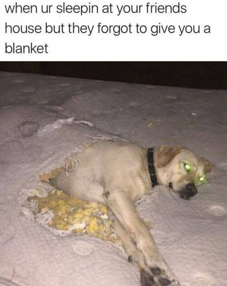 when ur sleepin at your friends house but they forgot to give you a blanket