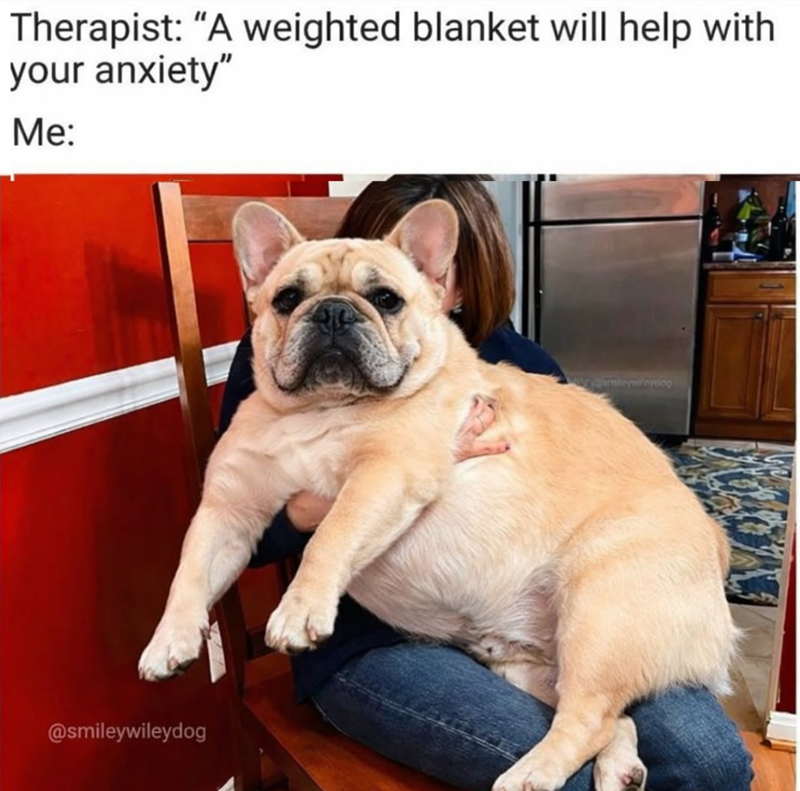 Therapist: "A weighted blanket will help with your anxiety" Me: @smileywileydog Smileywilnycoo