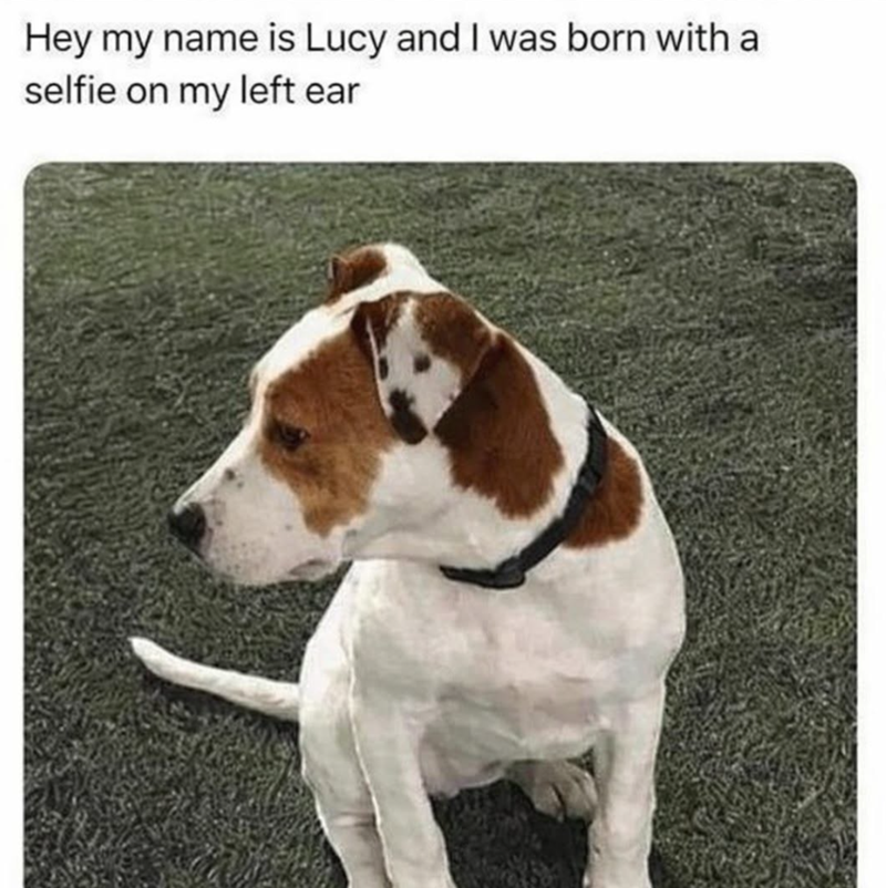 Hey my name is Lucy and I was born with a selfie on my left ear