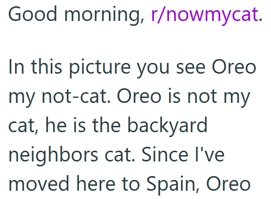 Good morning, r/nowmycat. In this picture you see Oreo my not-cat. Oreo is not my cat, he is the backyard neighbors cat. Since I've moved here to Spain, Oreo