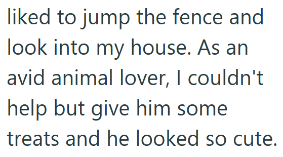 liked to jump the fence and look into my house. As an avid animal lover, I couldn't help but give him some treats and he looked so cute.
