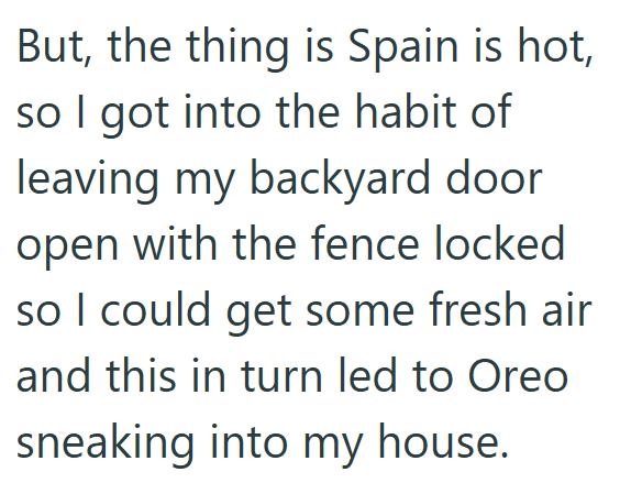 But, the thing is Spain is hot, so I got into the habit of leaving my backyard door open with the fence locked so I could get some fresh air and this in turn led to Oreo sneaking into my house.