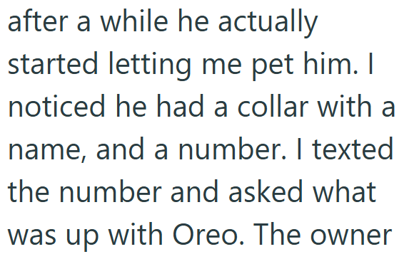 after a while he actually started letting me pet him. I noticed he had a collar with a name, and a number. I texted the number and asked what was up with Oreo. The owner
