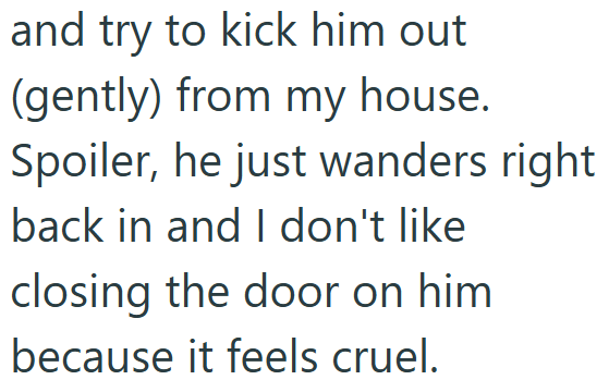 and try to kick him out (gently) from my house. Spoiler, he just wanders right back in and I don't like closing the door on him because it feels cruel.