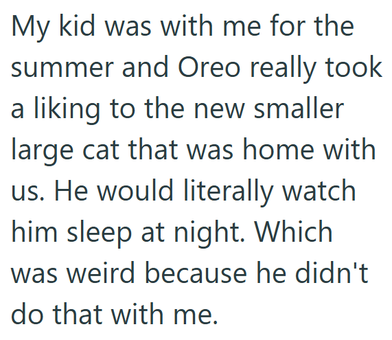 My kid was with me for the summer and Oreo really took a liking to the new smaller large cat that was home with us. He would literally watch him sleep at night. Which was weird because he didn't do that with me.