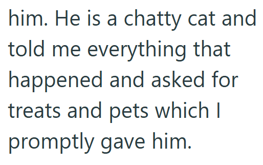 him. He is a chatty cat and told me everything that happened and asked for treats and pets which I promptly gave him.