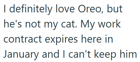 I definitely love Oreo, but he's not my cat. My work contract expires here in January and I can't keep him