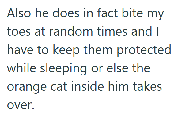 Also he does in fact bite my toes at random times and I have to keep them protected while sleeping or else the orange cat inside him takes over.