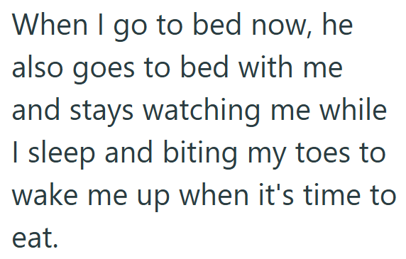When I go to bed now, he also goes to bed with me and stays watching me while I sleep and biting my toes to wake me up when it's time to eat.