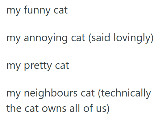 my funny cat my annoying cat (said lovingly) my pretty cat my neighbours cat (technically the cat owns all of us)