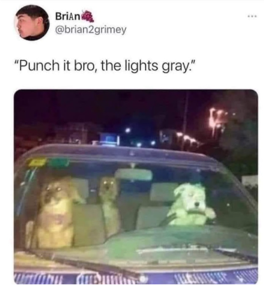BriAn @brian2grimey "Punch it bro, the lights gray."
