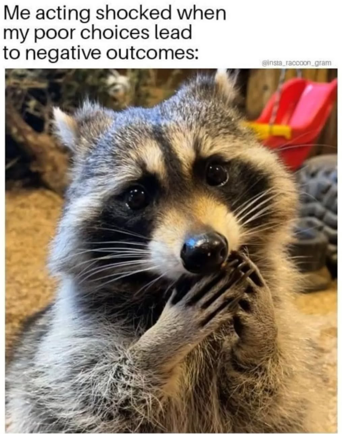 Me acting shocked when my poor choices lead to negative outcomes: @insta_raccoon_gram
