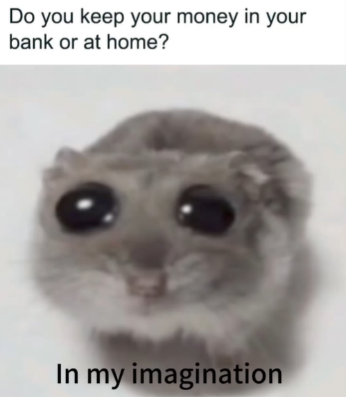 Do you keep your money in your bank or at home? In my imagination