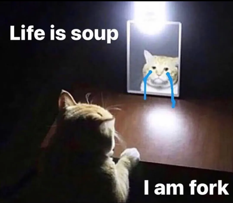 Life is soup I am fork