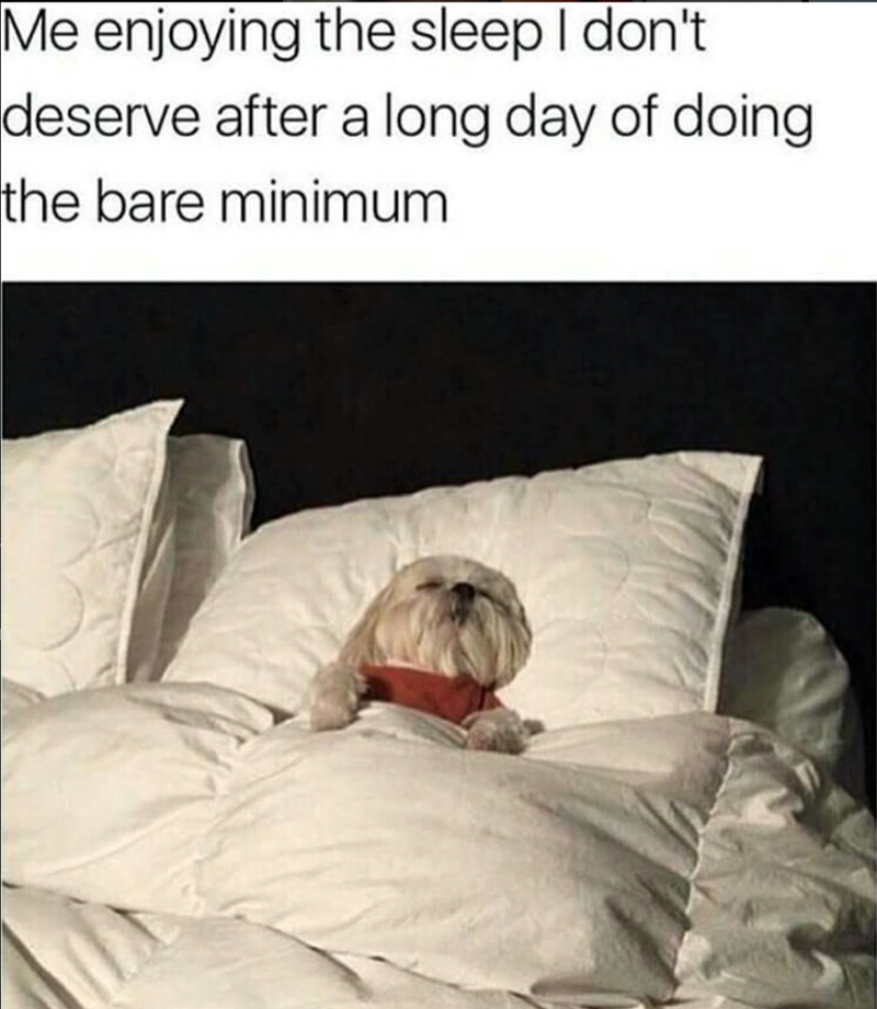 Me enjoying the sleep I don't deserve after a long day of doing the bare minimum