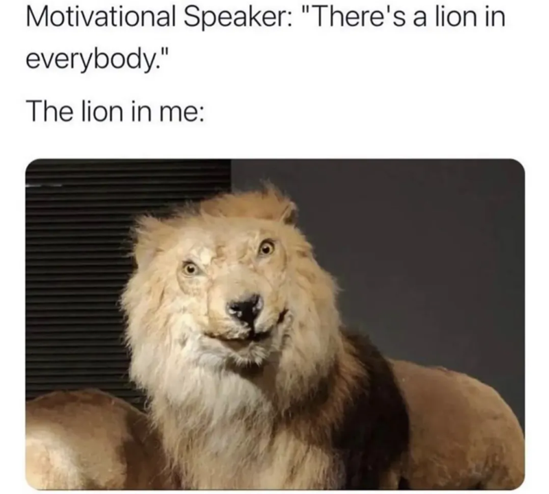 Motivational Speaker: "There's a lion in everybody." The lion in me: