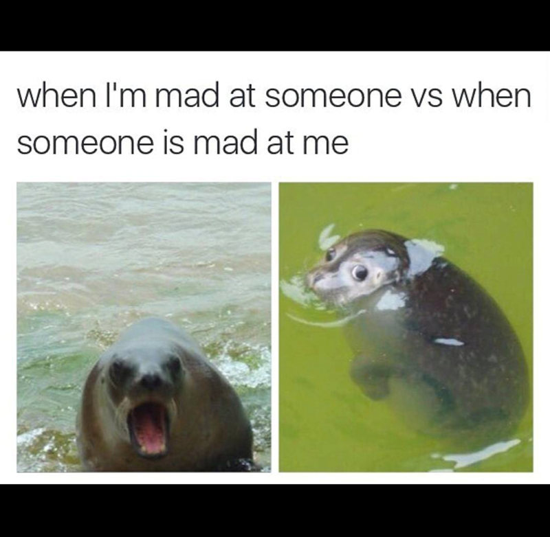 when I'm mad at someone vs when someone is mad at me
