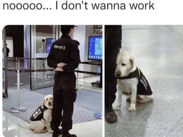 nooooo... I don't wanna work P