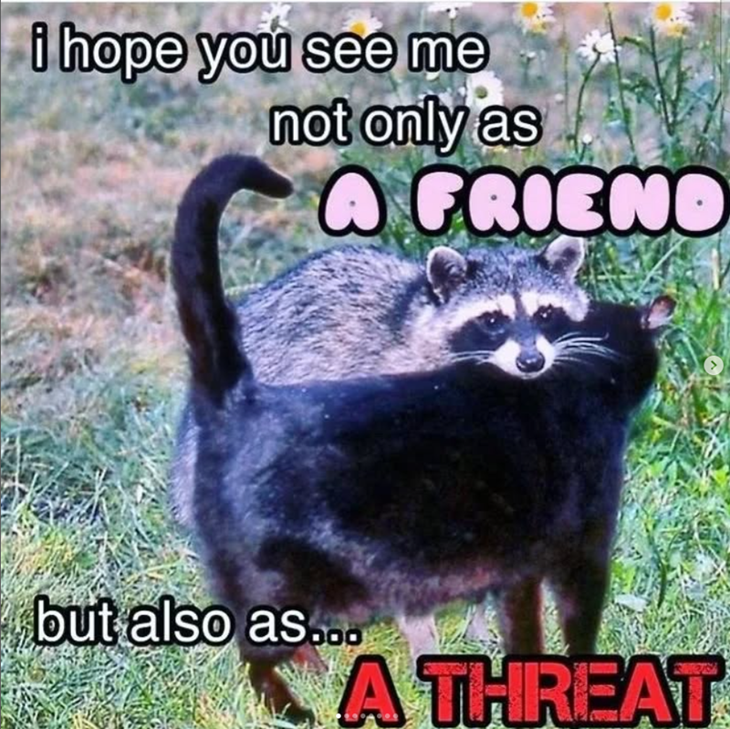i hope you see me not only as A FRIEND but also as... A THREAT
