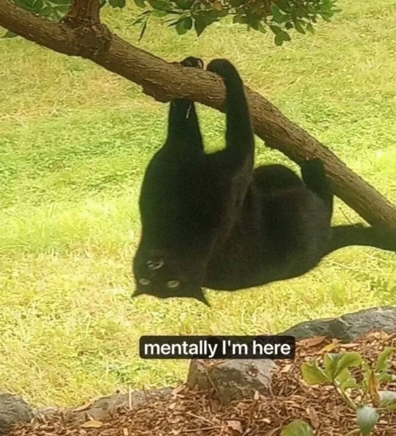 mentally I'm here
