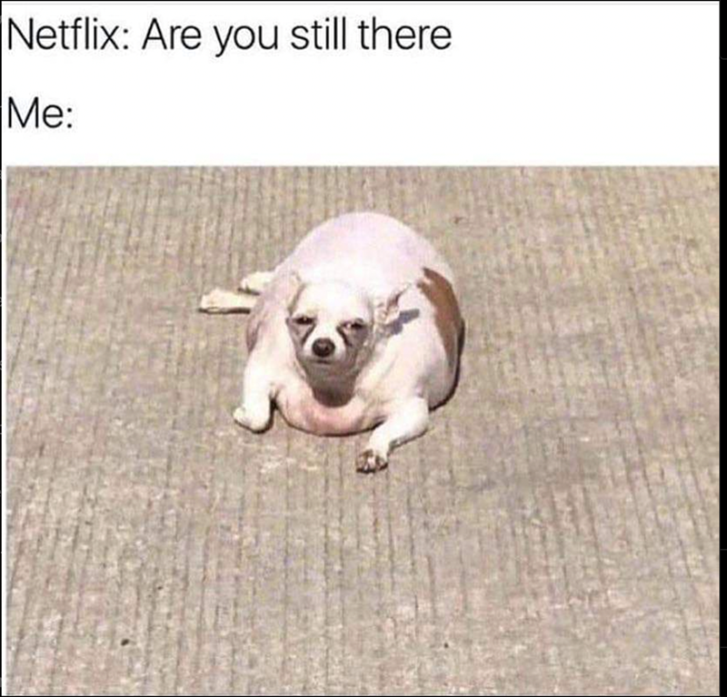 Netflix: Are you still there Me: