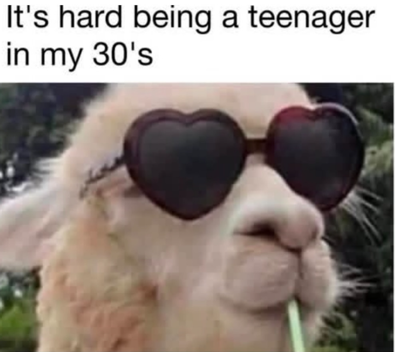 It's hard being a teenager in my 30's