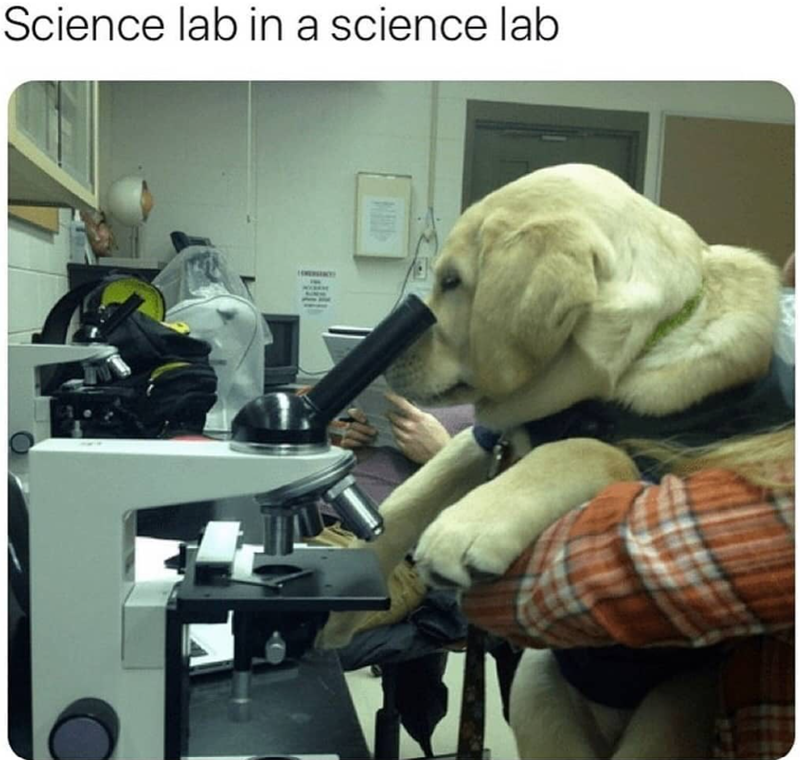 Science lab in a science lab