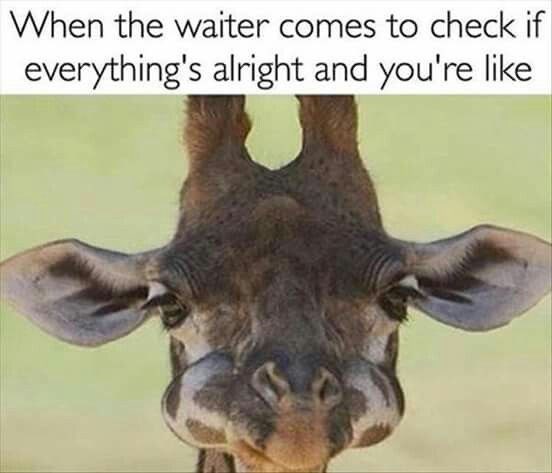 When the waiter comes to check if everything's alright and you're like