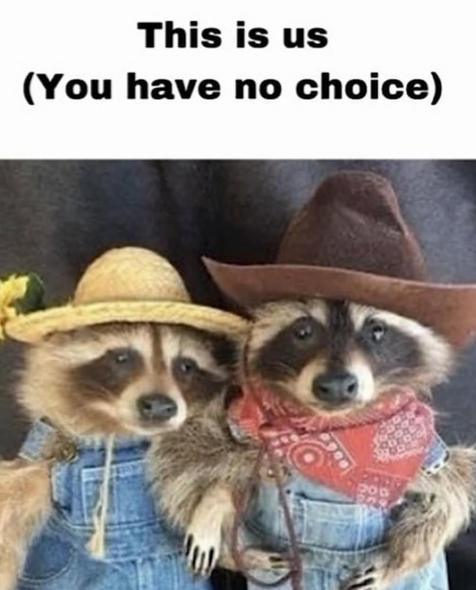 This is us (You have no choice)