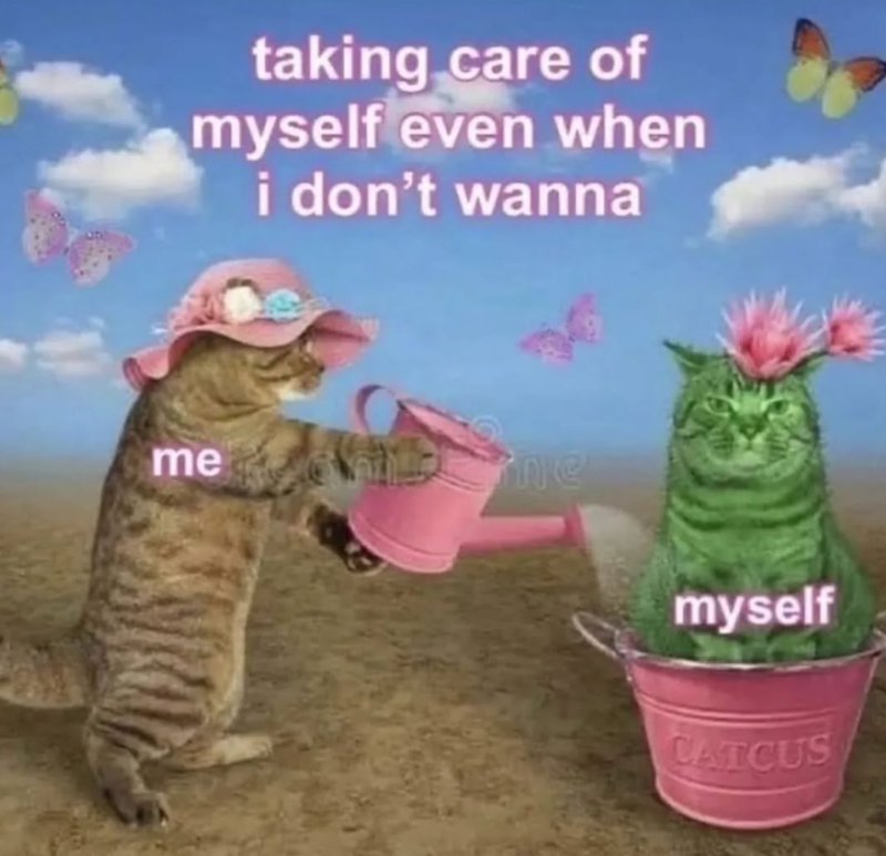 taking care of myself even when i don't wanna me ne myself CATCUS