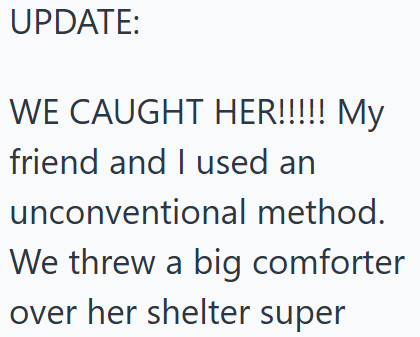UPDATE: WE CAUGHT HER!!!!! My friend and I used an unconventional method. We threw a big comforter over her shelter super