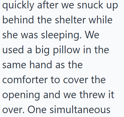 quickly after we snuck up behind the shelter while she was sleeping. We used a big pillow in the same hand as the comforter to cover the opening and we threw it over. One simultaneous