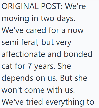 ORIGINAL POST: We're moving in two days. We've cared for a now semi feral, but very affectionate and bonded cat for 7 years. She depends on us. But she won't come with us. We've tried everything to