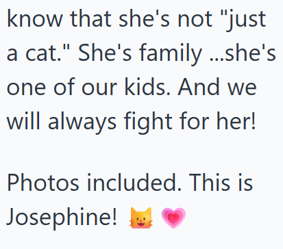 know that she's not "just a cat." She's family ...she's one of our kids. And we will always fight for her! Photos included. This is Josephine!