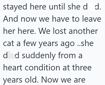 stayed here until she d d. And now we have to leave her here. We lost another cat a few years ago ..she d. d suddenly from a heart condition at three years old. Now we are
