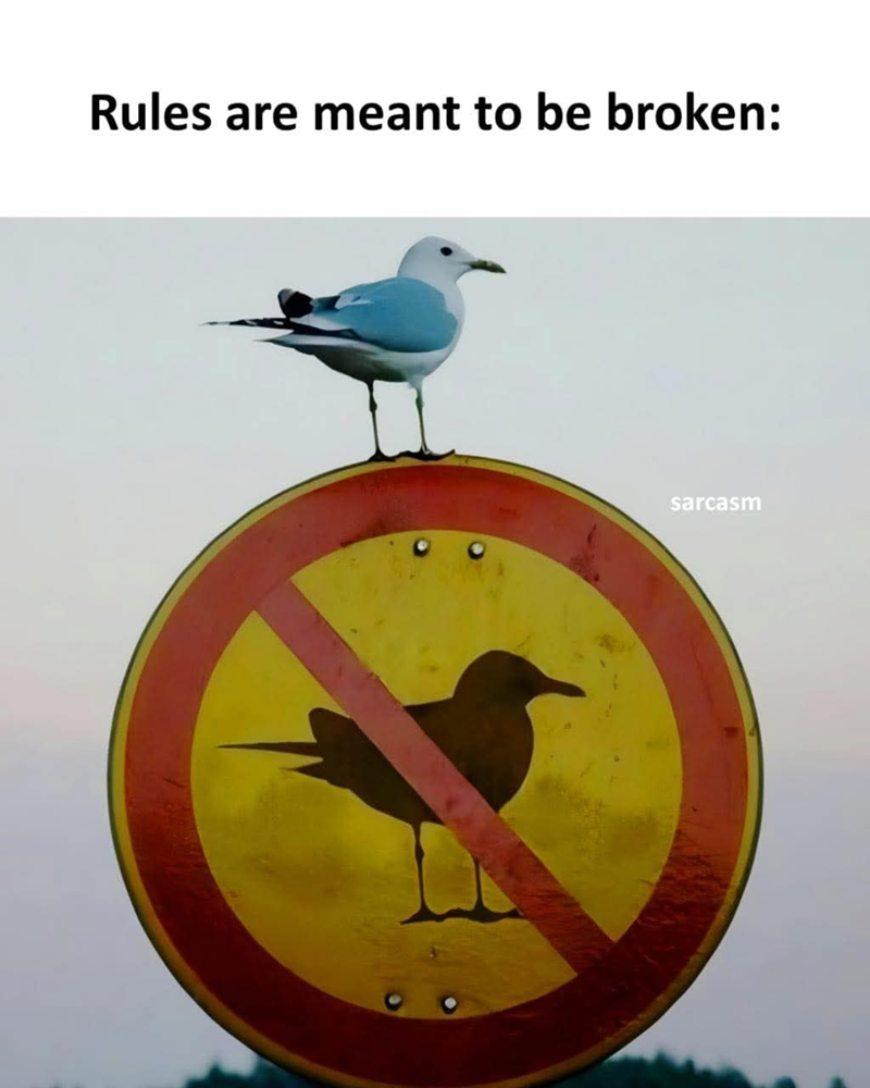 Rules are meant to be broken: sarcasm