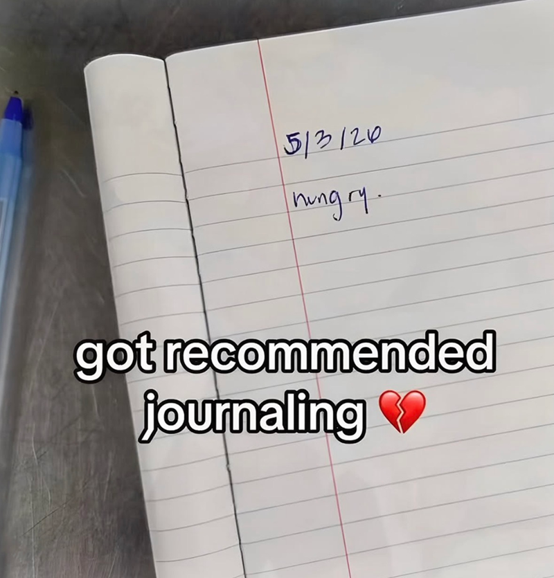 513120 hungry. got recommended journaling