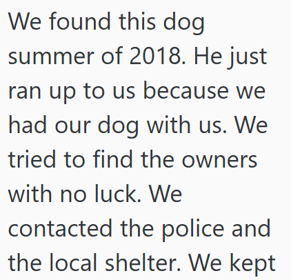 We found this dog summer of 2018. He just ran up to us because we had our dog with us. We tried to find the owners with no luck. We contacted the police and the local shelter. We kept