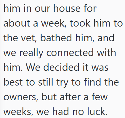 him in our house for about a week, took him to the vet, bathed him, and we really connected with him. We decided it was best to still try to find the owners, but after a few weeks, we had no luck.