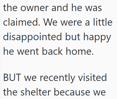 the owner and he was claimed. We were a little disappointed but happy he went back home. BUT we recently visited the shelter because we
