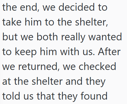 the end, we decided to take him to the shelter, but we both really wanted to keep him with us. After we returned, we checked at the shelter and they told us that they found