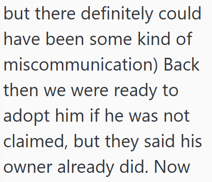 but there definitely could have been some kind of miscommunication) Back then we were ready to adopt him if he was not claimed, but they said his owner already did. Now