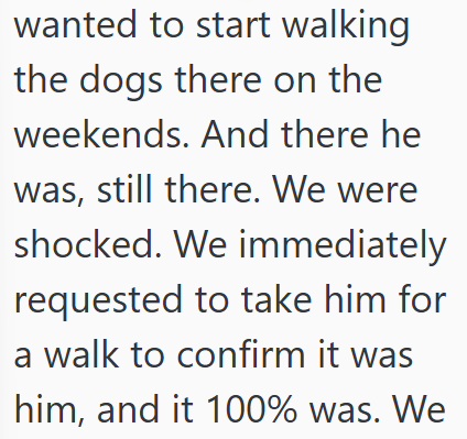 wanted to start walking the dogs there on the weekends. And there he was, still there. We were shocked. We immediately requested to take him for a walk to confirm it was him, and it 100% was. We