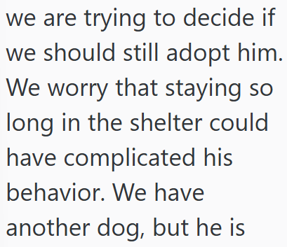 we are trying to decide if we should still adopt him. We worry that staying so long in the shelter could have complicated his behavior. We have another dog, but he is