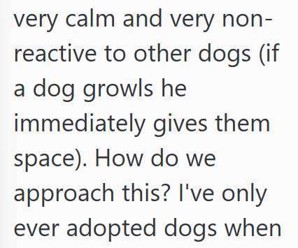 very calm and very non- reactive to other dogs (if a dog growls he immediately gives them space). How do we approach this? I've only ever adopted dogs when